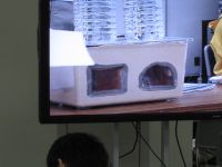 おもりにより、砂全体に下方向に圧力がかかります。元の形から変形しています。